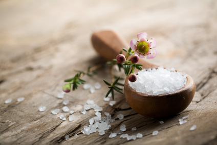 Salt of the Earth