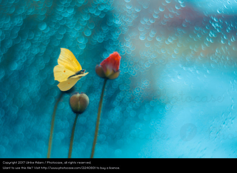 Nothing is Impossible with God