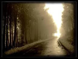 Trusting Wholeheartedly