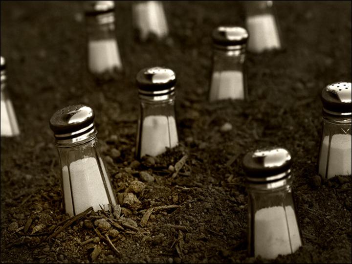 Salt of the Earth