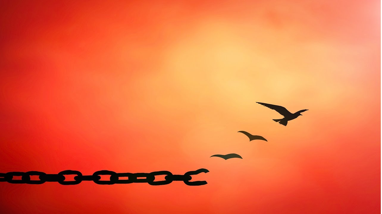 Purposely Pursuing Purpose