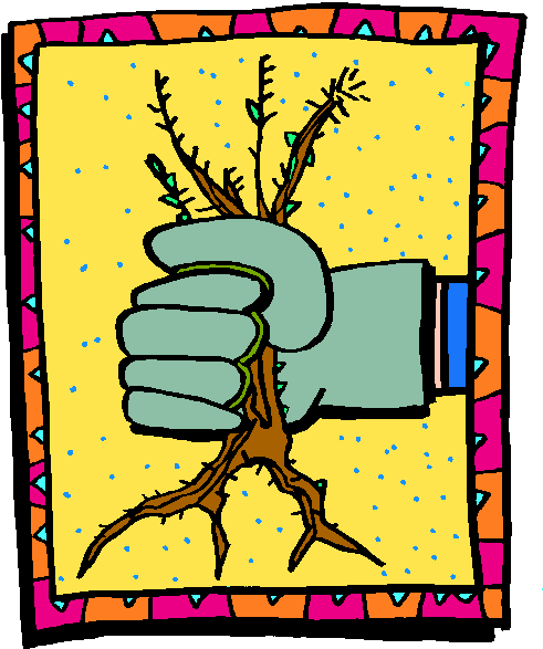 Weeding Out Distractions