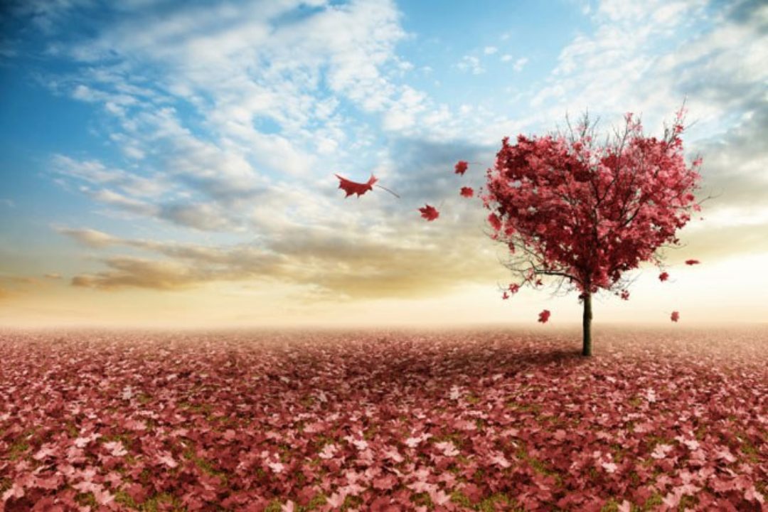 Loving Unconditionally