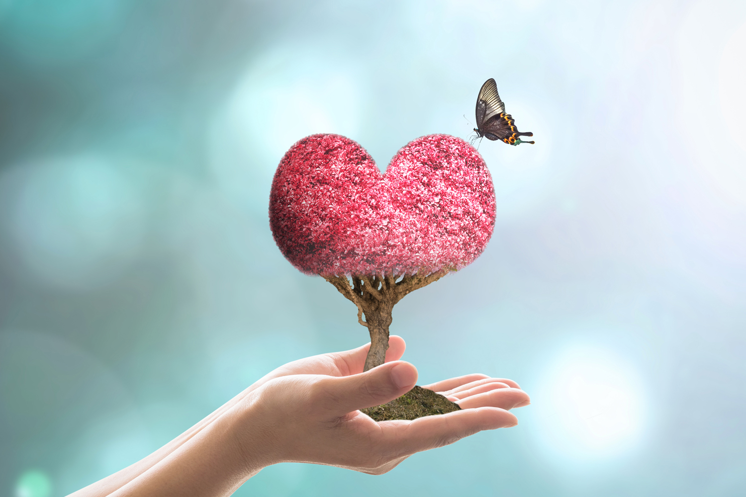 The Connection of the Two