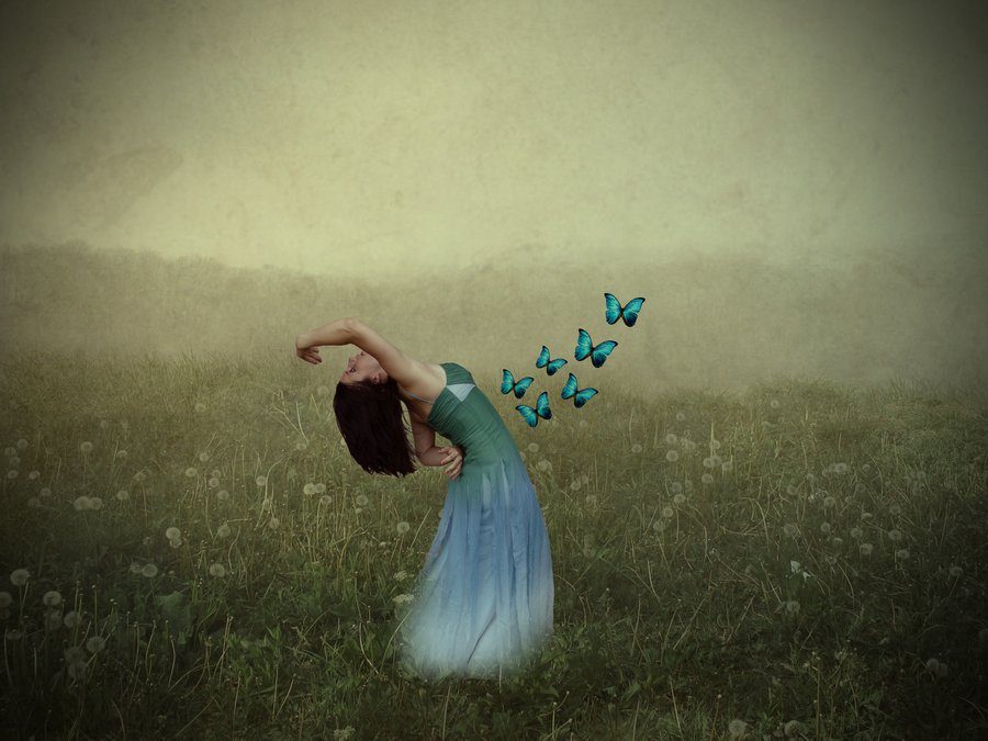 Butterflies Fluttering