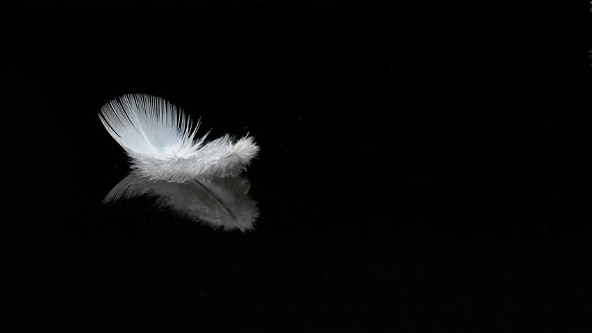 Gentleness