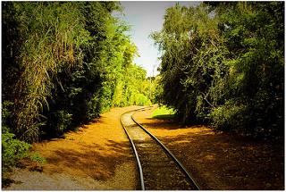 Staying on Track