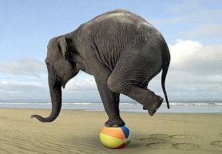 The Balanced Life