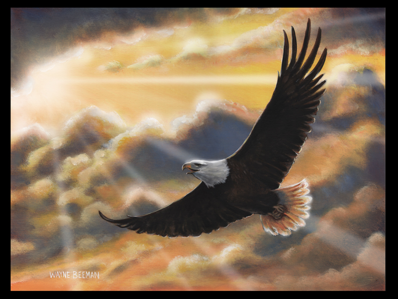 Waiting to Soar