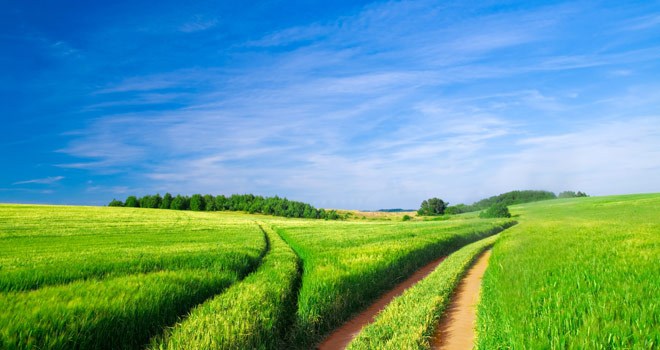 A Path to Follow