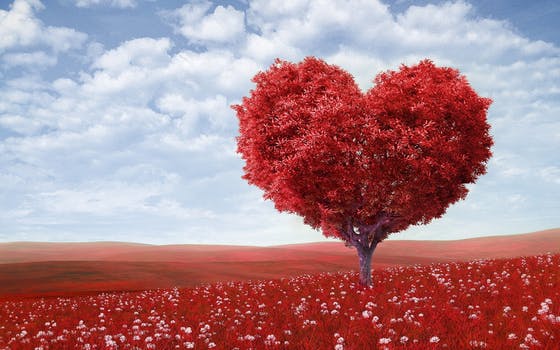 Matters of the Heart
