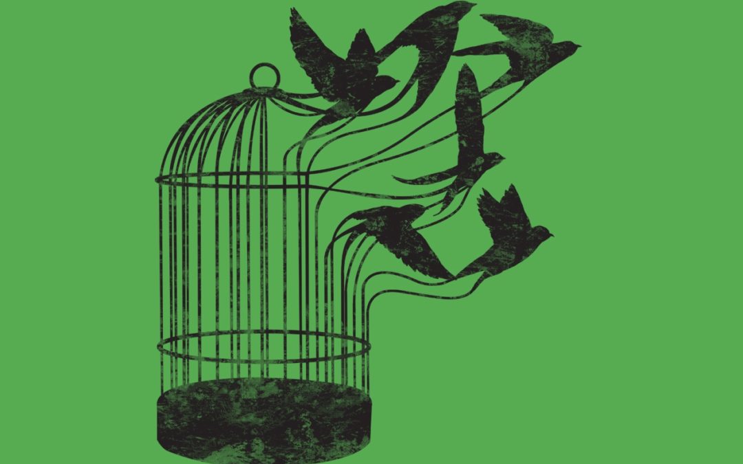 Freedom