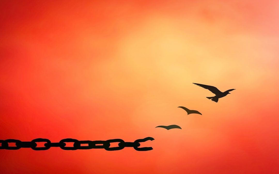 Free Indeed