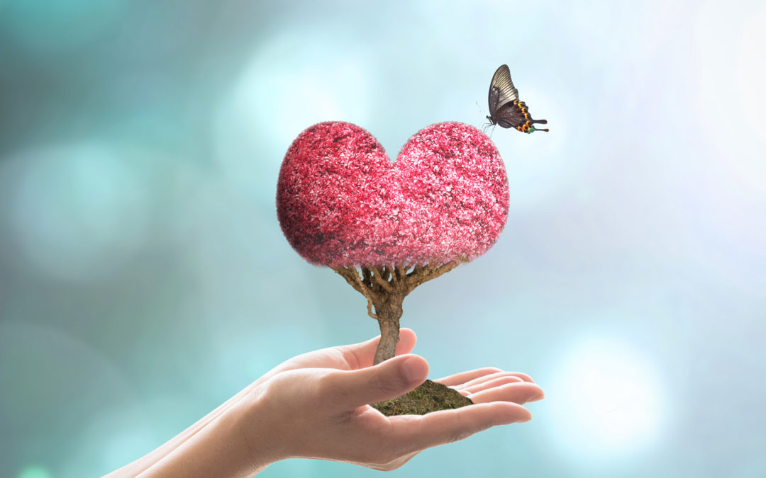 The Gift of Forgiveness