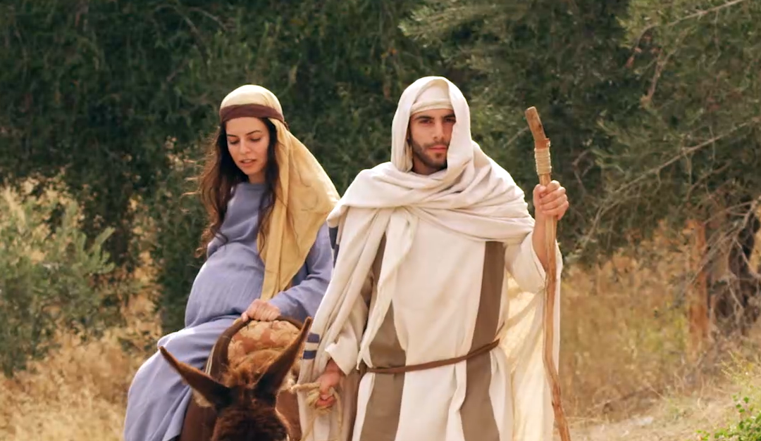 The Journey to Birth Love