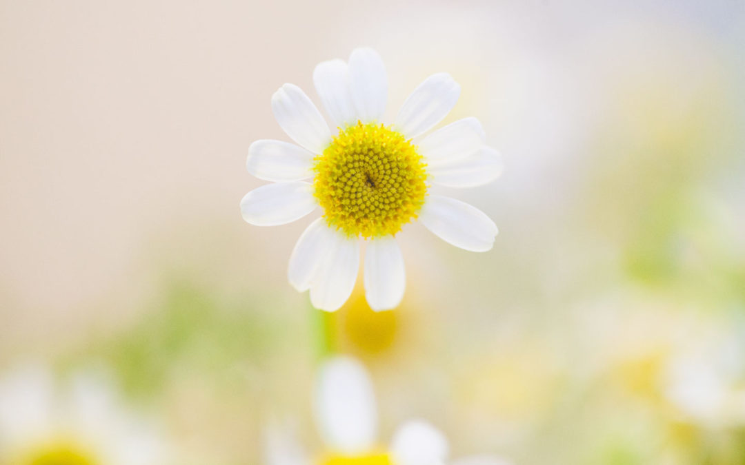 Putting the Past Where It Belongs