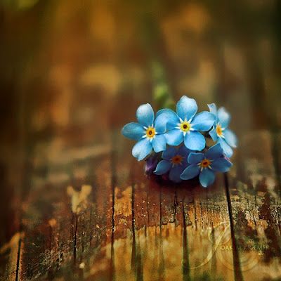 Beautiful Peaceful Heart