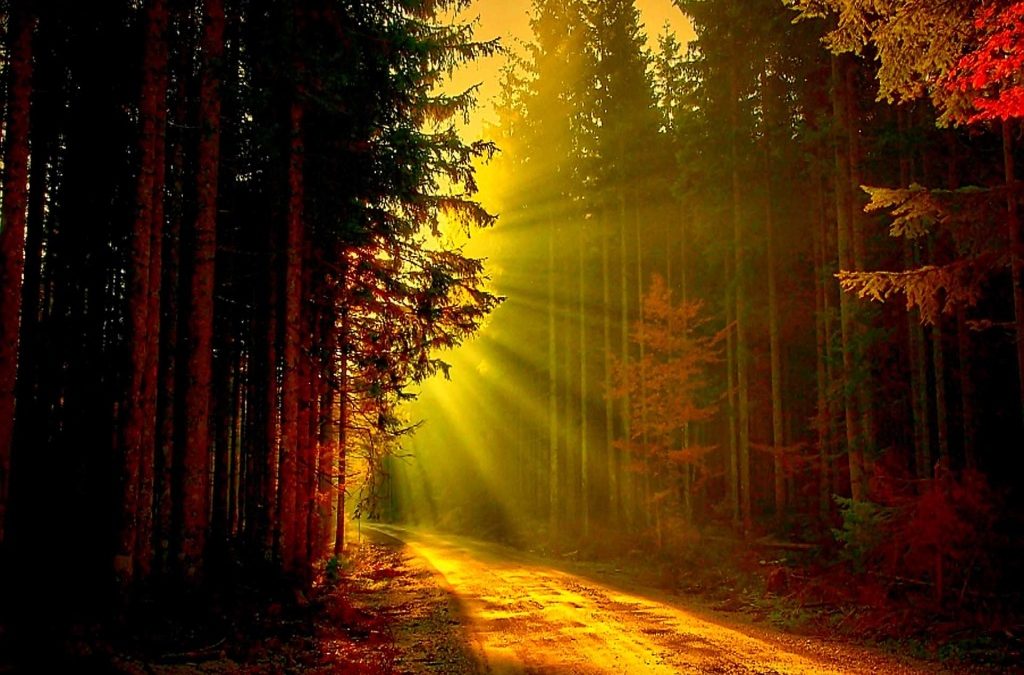 Light the Way