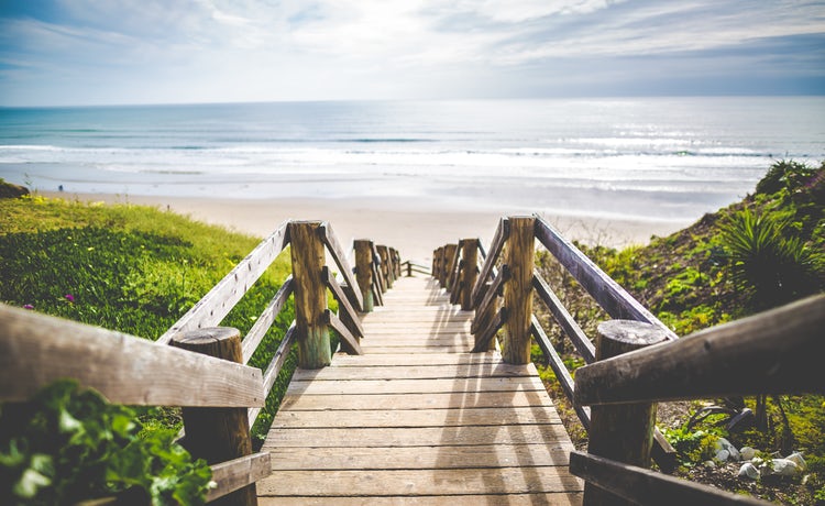 Taking It All In