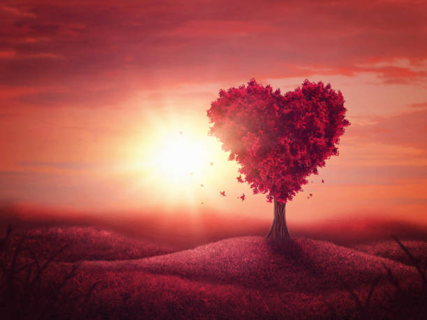 Love Reigns
