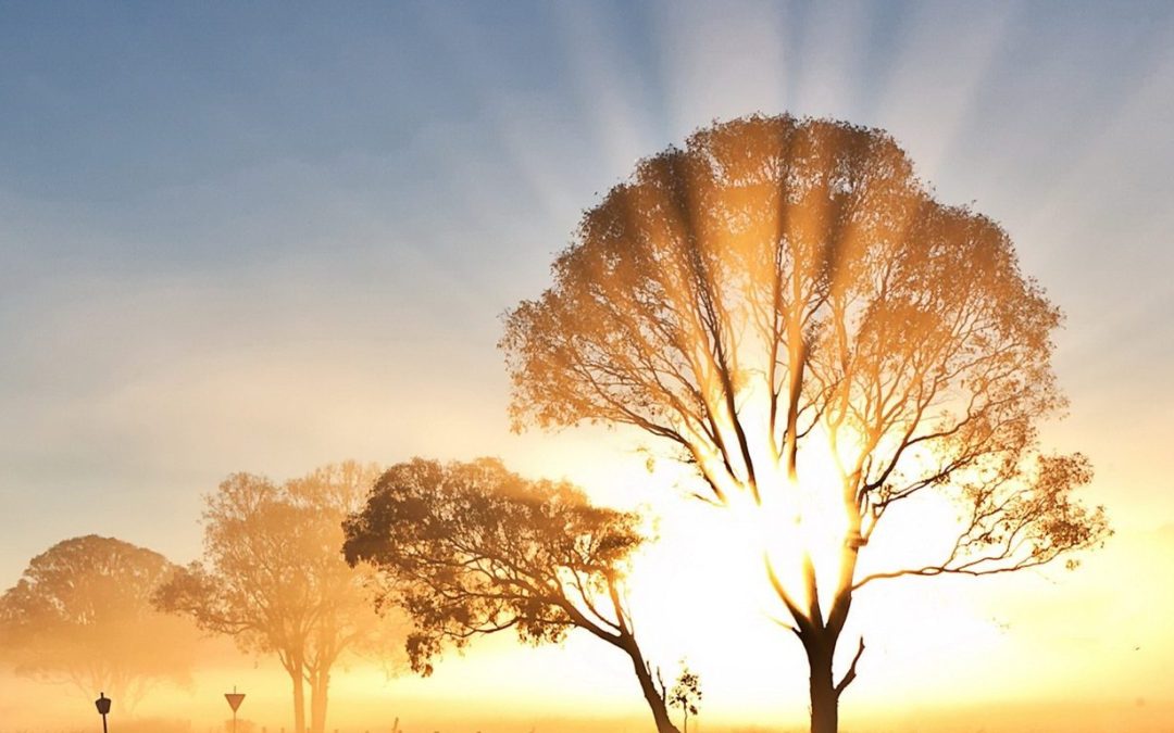 Blessed Beyond Measure