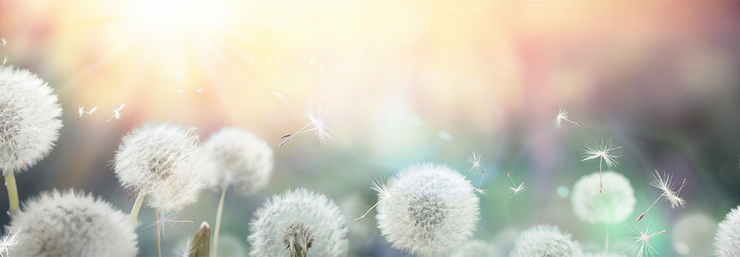 Forgiveness Brings Peace