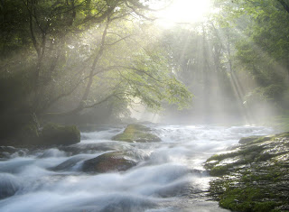 River of Life