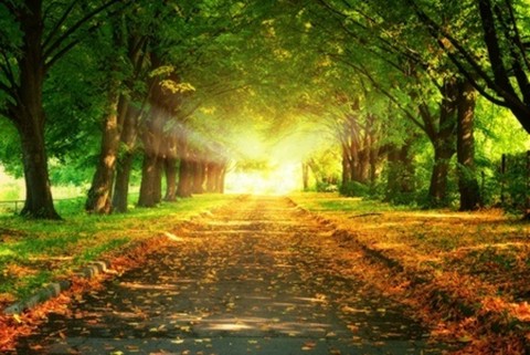 Life is a Journey