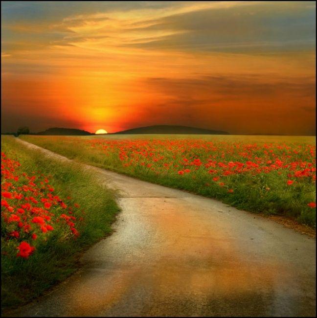 Keep Moving Forward