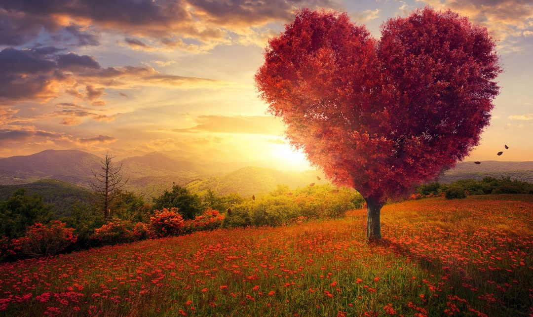 God is Love