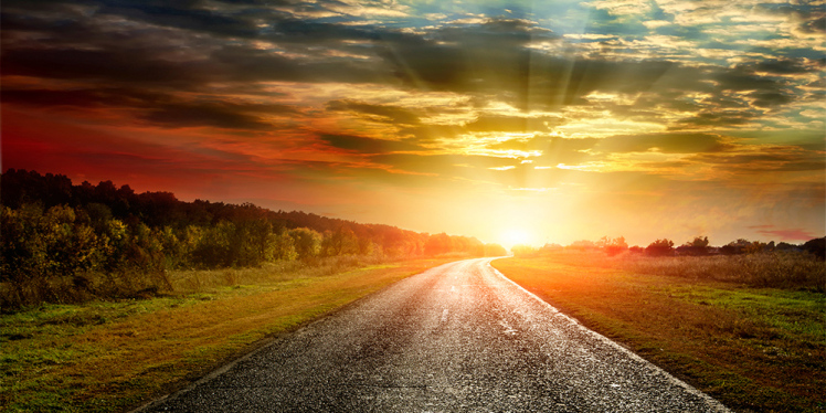 The Journeys of Life