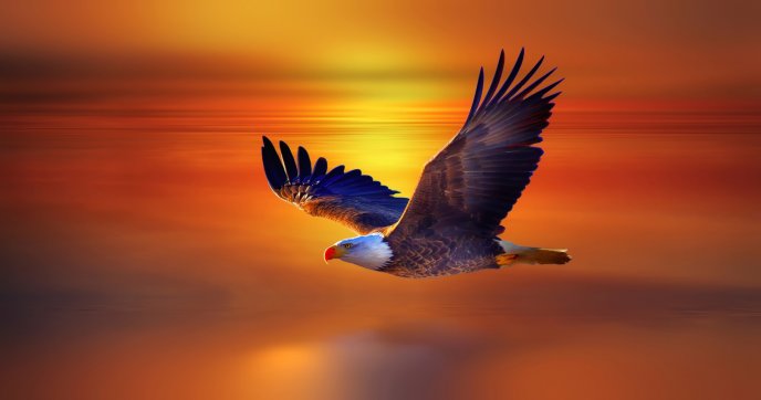 Communication Soaring