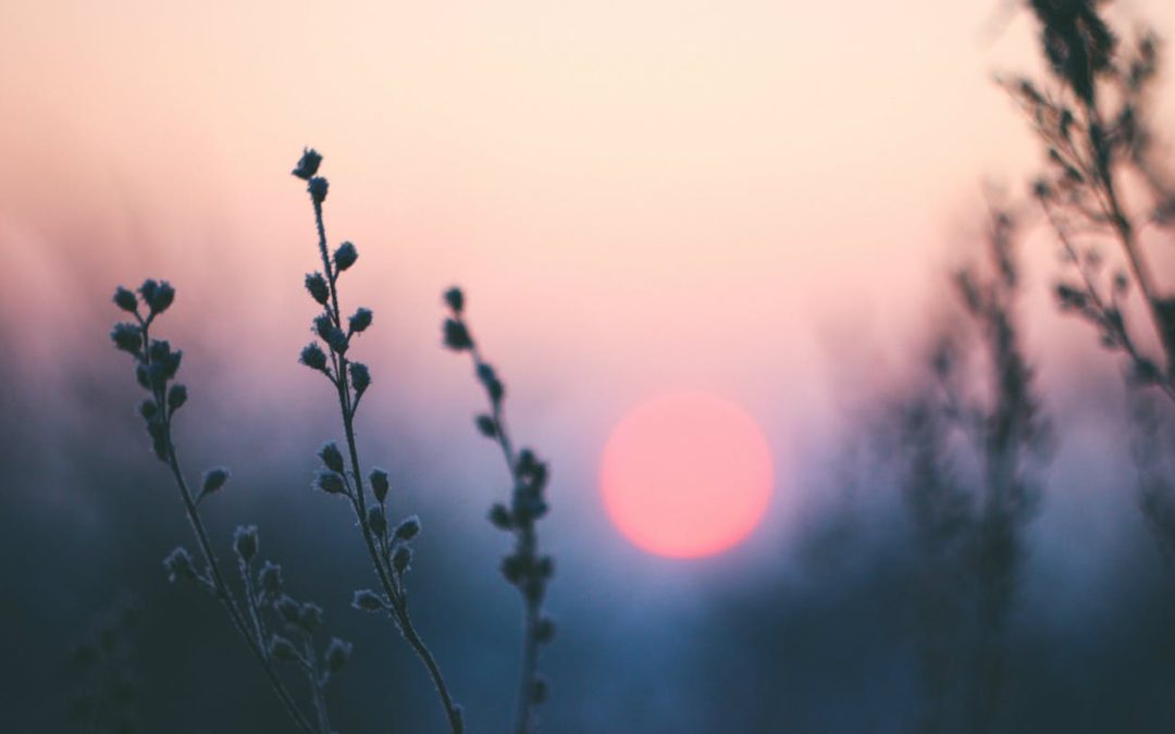 Humbly Yours