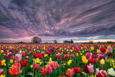 Breath in Hope – Exhale Joy
