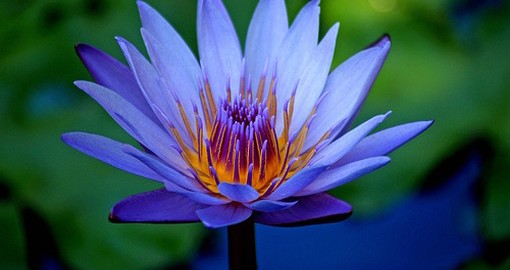 Miracles Unfolding