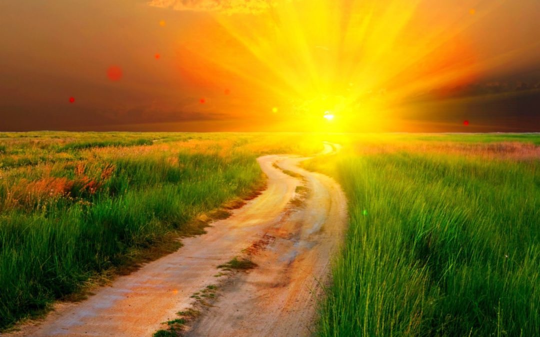 Where Hope Lives