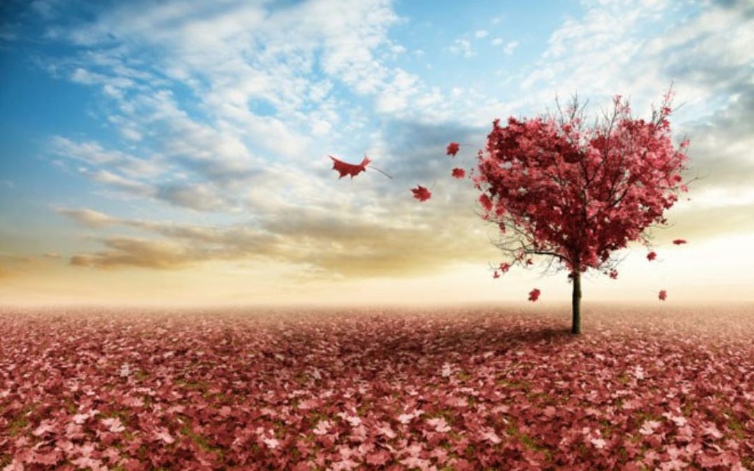 It All Boils Down to Love Love Love