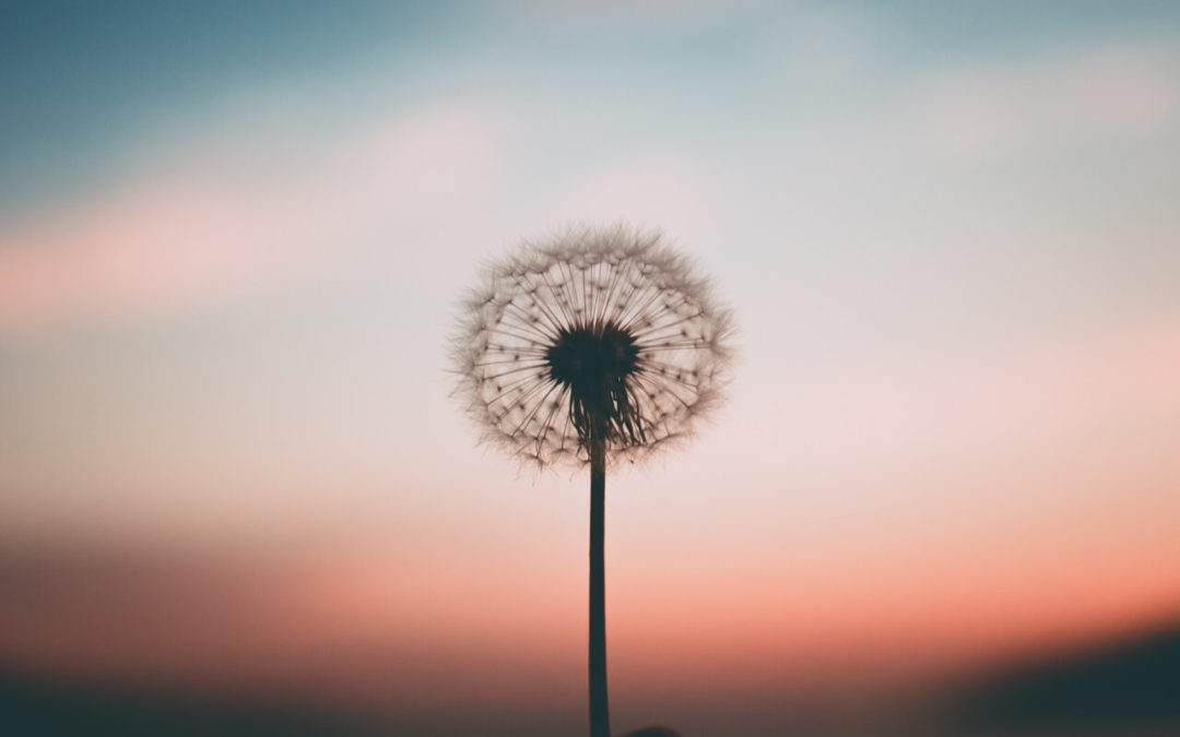 The Direction of Love