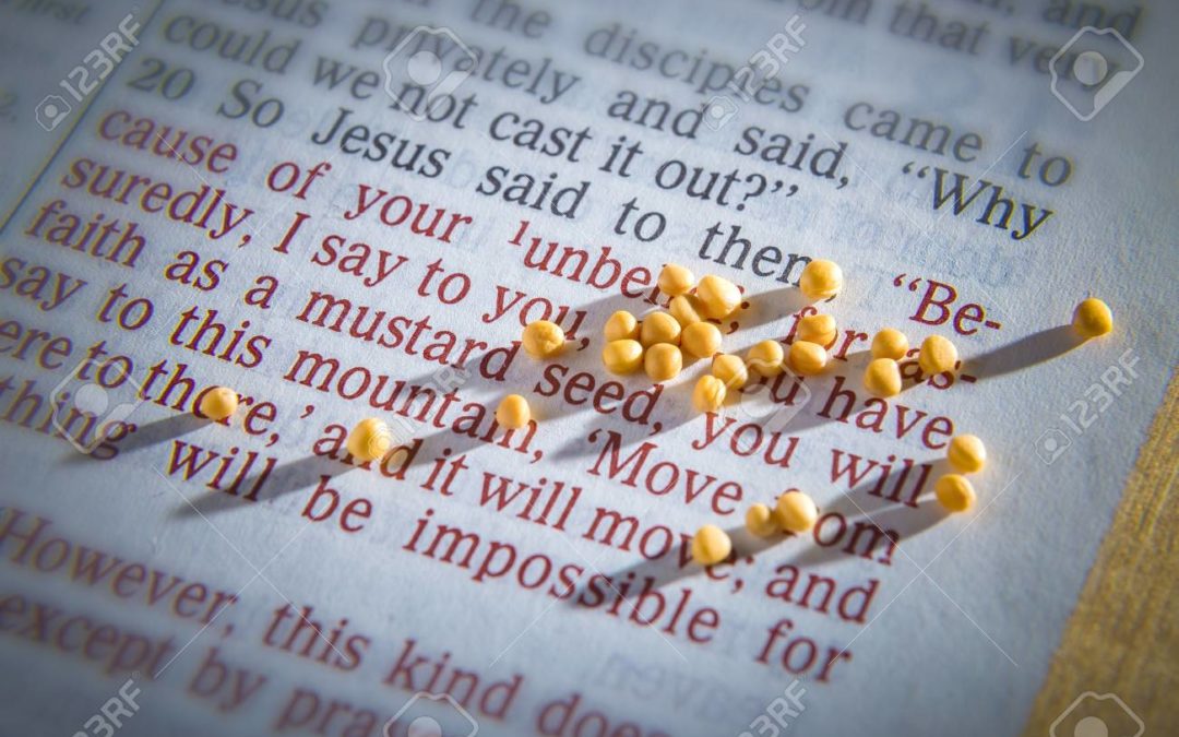 Wonder Working Faith