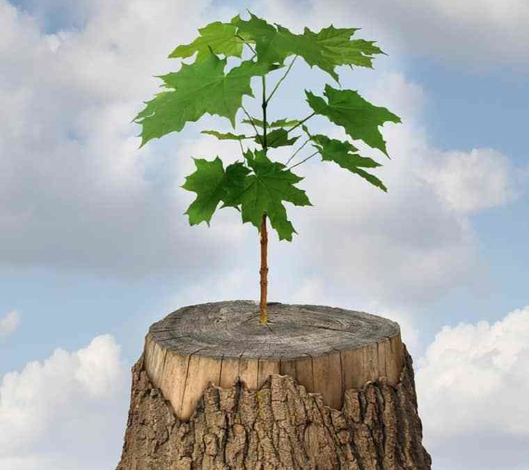 By His Strength – I Am Strong